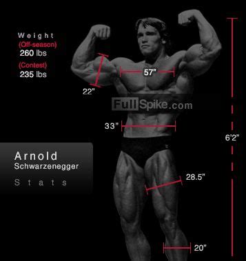 arnold schwarzenegger arm measurement.